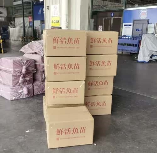 机场空运